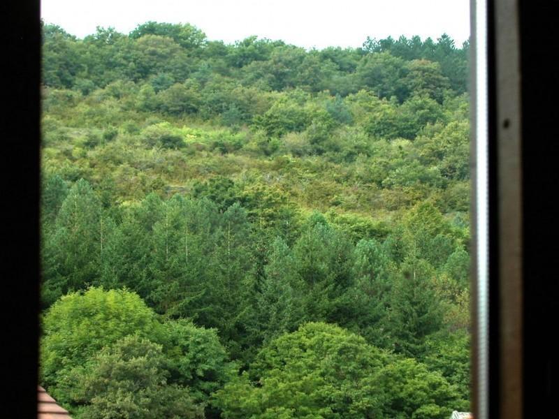 Apartamentos Pistolo Ochagavía Dış mekan fotoğraf